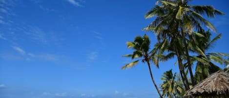 Beach nearby, sun loungers, beach towels