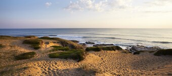 Le Gîte du Safran 5/7 personnes