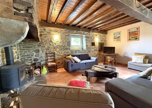 TV, fireplace, DVD player