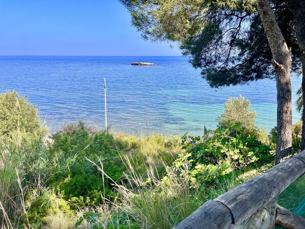 Eine Küstenlandschaft mit freiem Blick auf das Meer, einem Holzzaun und dichter Vegetation.