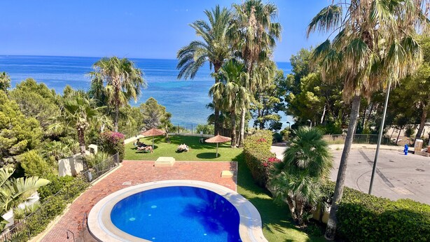 A swimming pool with a curved edge, surrounded by lush greenery and palm trees, with a view of the ocean.