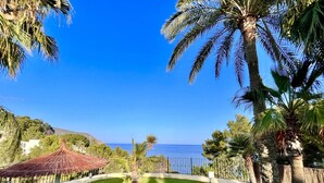 A grassy area with palm trees and a view of the sea.