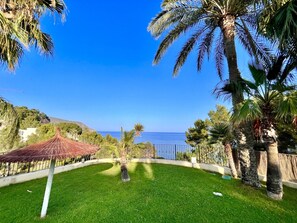 A grassy area with palm trees and a view of the sea.