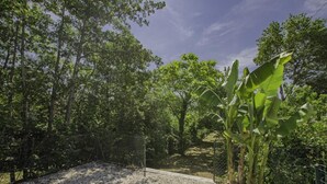 A fenced outdoor area with a gravel path, surrounded by trees and a banana plant. - Le Gîte des Remparts (CHAOURCE)