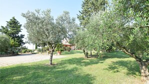 A garden with olive trees and a building in the background. - Gorgeous home in Santa Maria a Monte (Santa Maria a Monte)