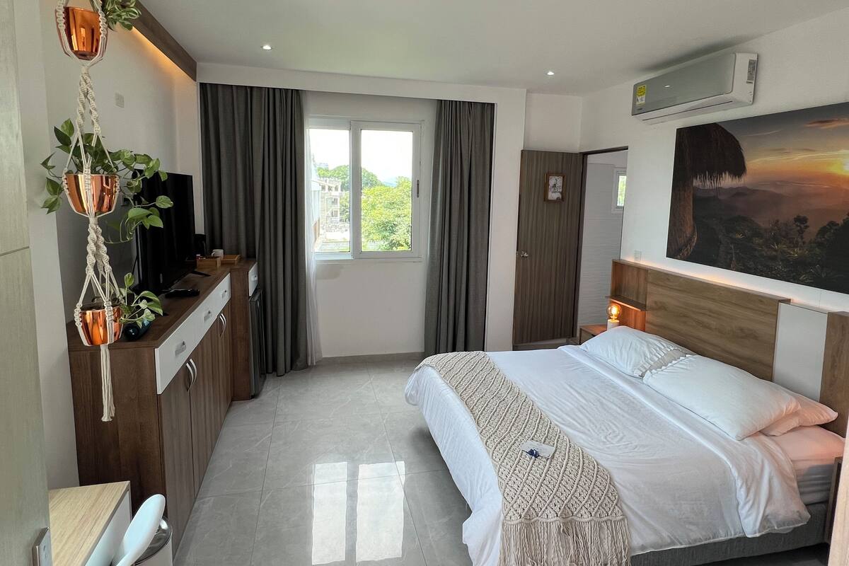 A hotel room with a bed, a TV, a desk, a plant, a window, and an air conditioner.