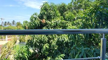 Chambre Confort | Vue de la chambre