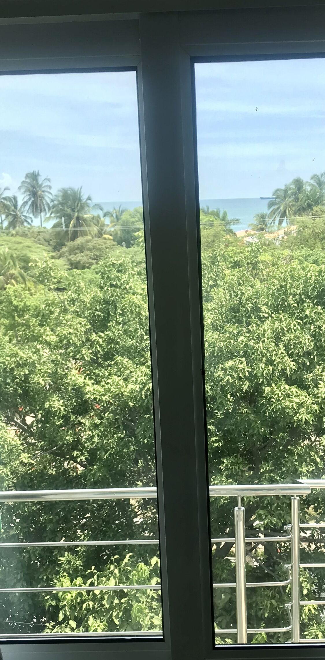 Senior Suite | View from room