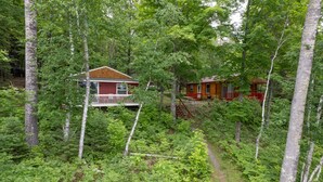 A cabin surrounded by dense forest with a visible porch and a path leading to it. - Lone Pine: S'mores, Sunshine, and Stanley Lake Days (Iron River)