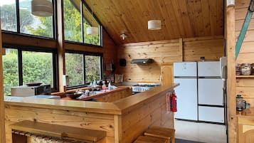Cabin | Private kitchen | Fridge, microwave, oven, stovetop