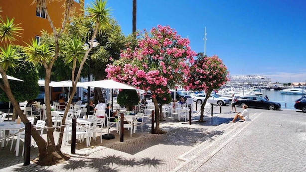 Ein Sitzbereich im Freien mit weißen Tischen und Stühlen, umgeben von Palmen und einem blühenden Baum mit rosa Blüten, mit Blick auf einen Hafen und Boote.