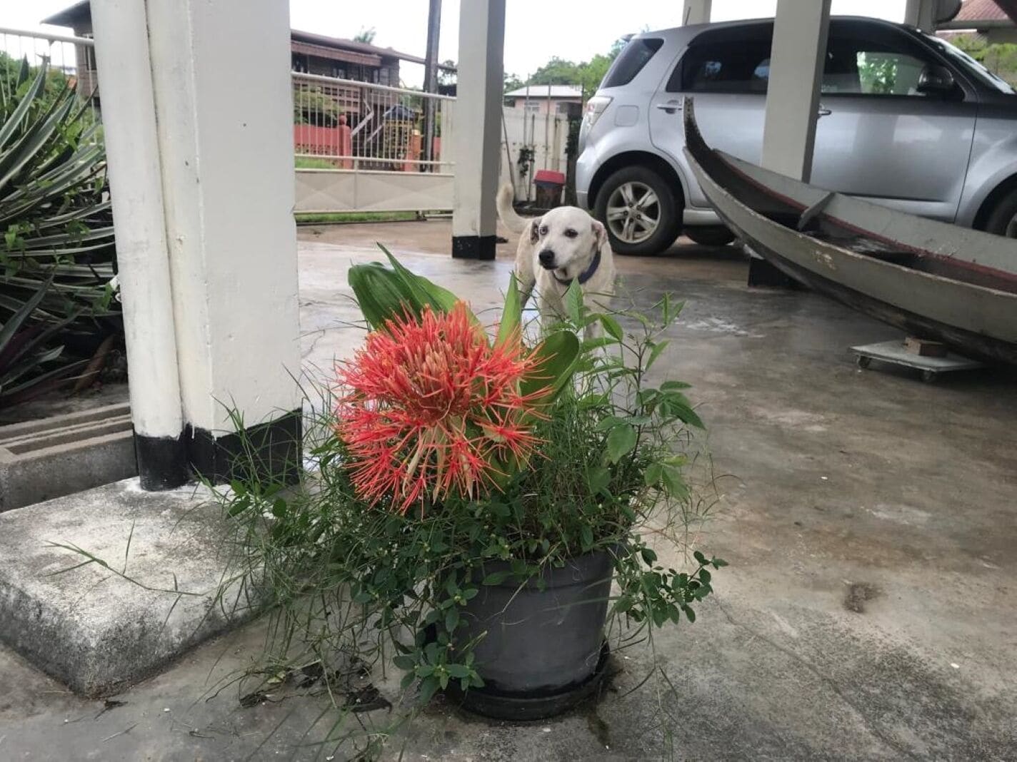 Área da propriedade