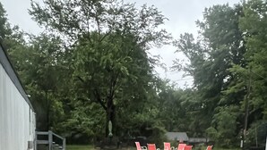 Eine gepflasterte Terrasse mit roten Stühlen und einem kleinen Tisch, umgeben von Bäumen.