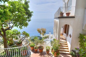Un balcón con plantas en macetas que da a vistas de la costa.