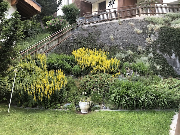 A landscaped garden with a wooden staircase leading up to a building.