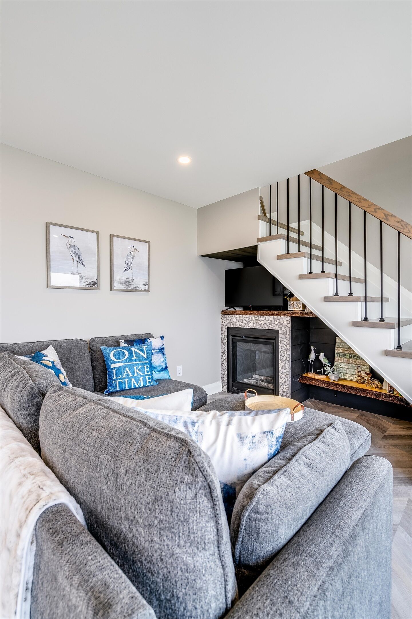 Smart TV, fireplace, books