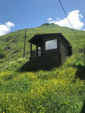 Esterni