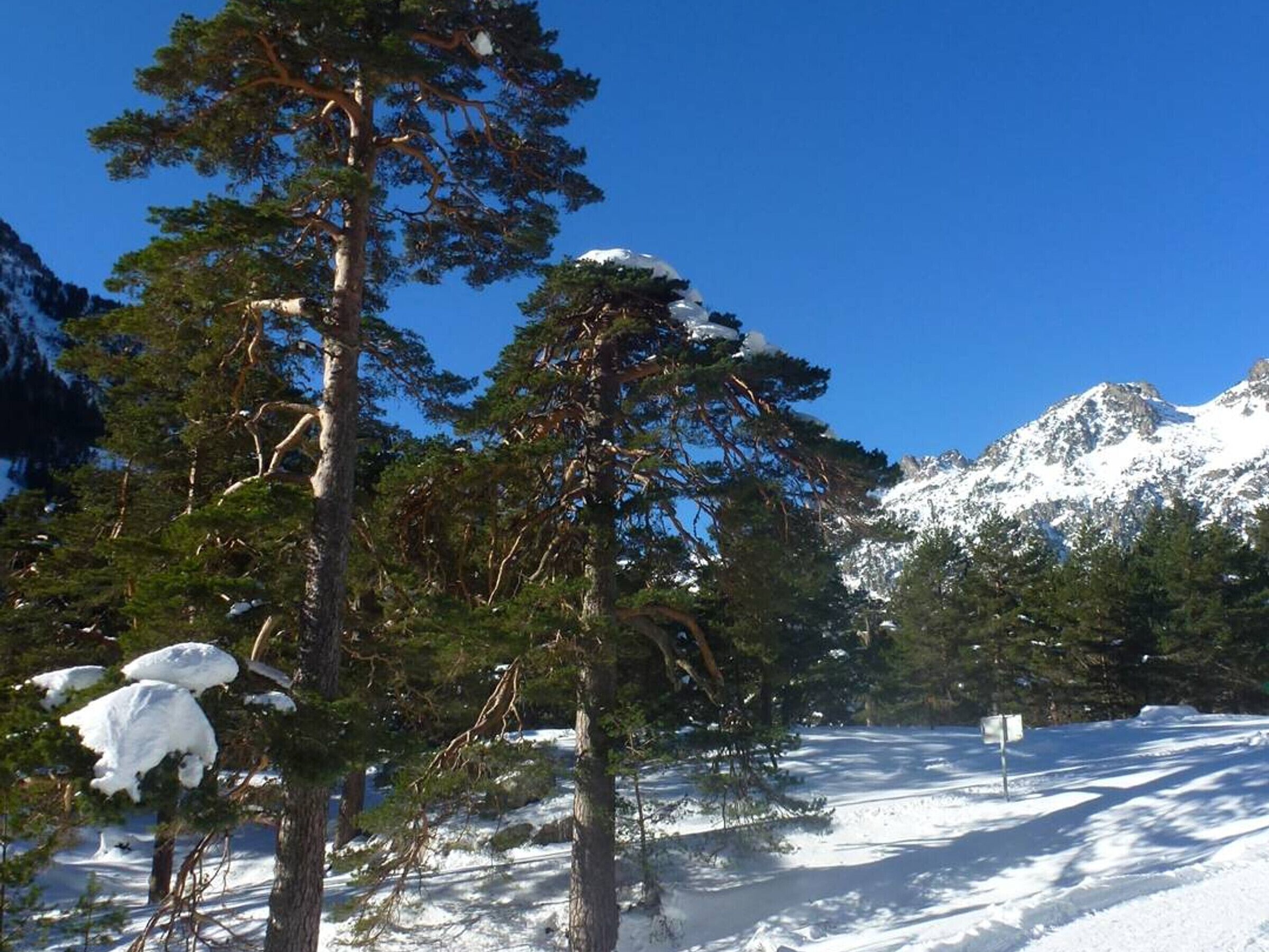 Terrain de l’hébergement 