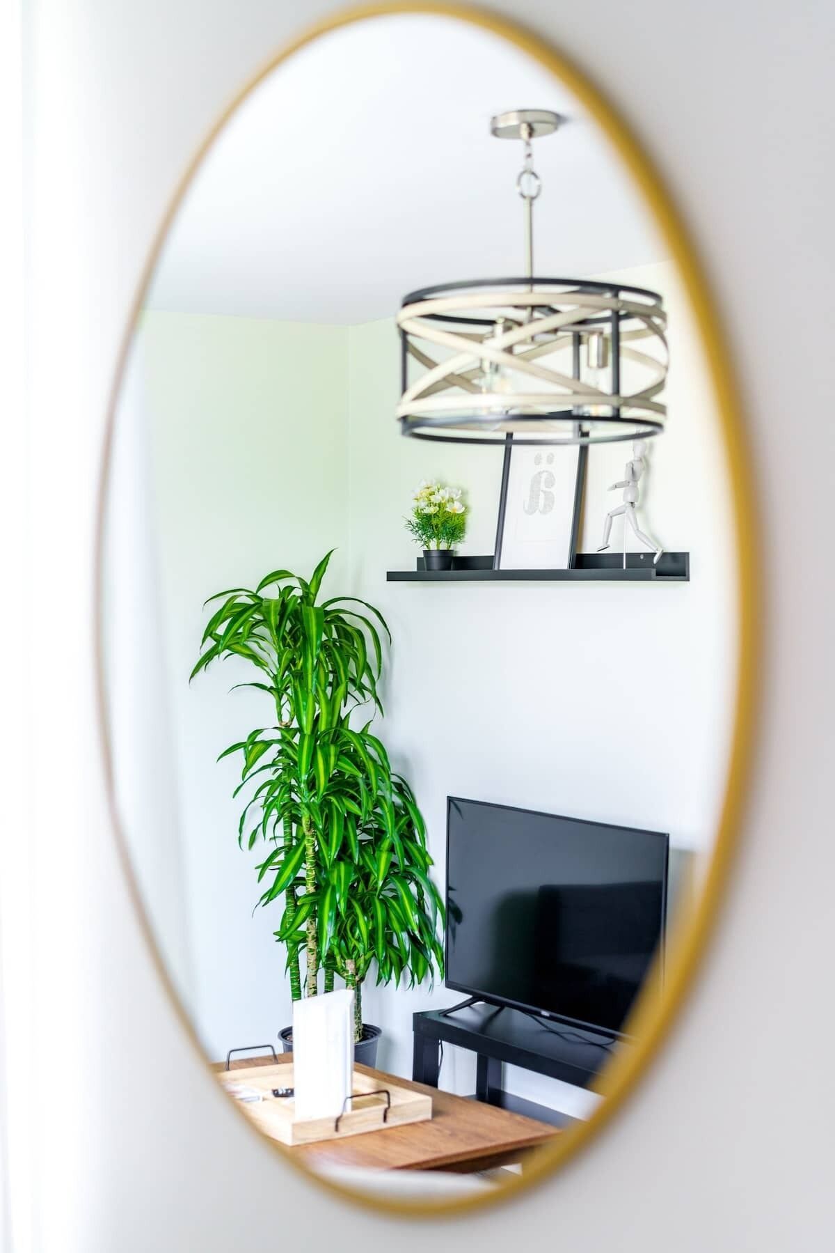 A modern living room with a large mirror reflecting a green plant, a TV, and a hanging light fixture.