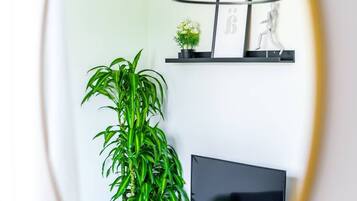 A modern living room with a large mirror reflecting a green plant, a TV, and a hanging light fixture.