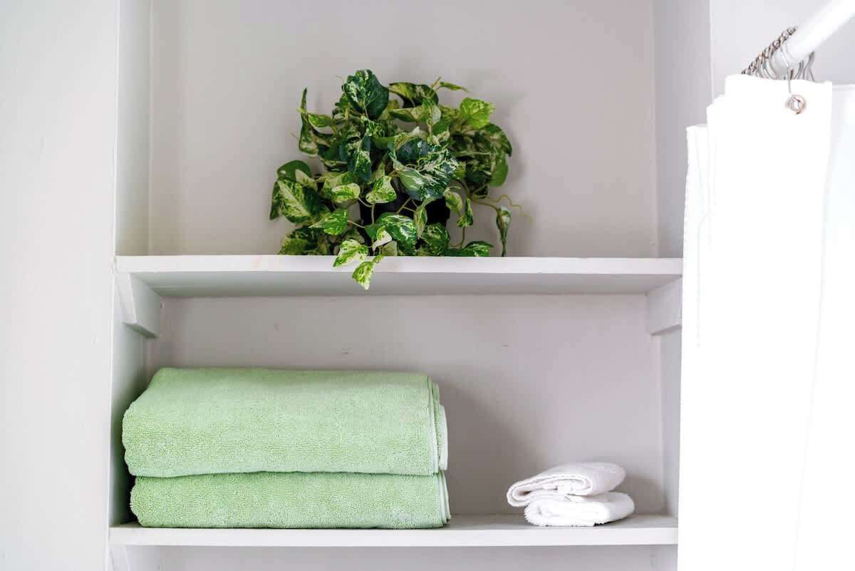 A bathroom with a white shelf holding a green plant and two folded towels.