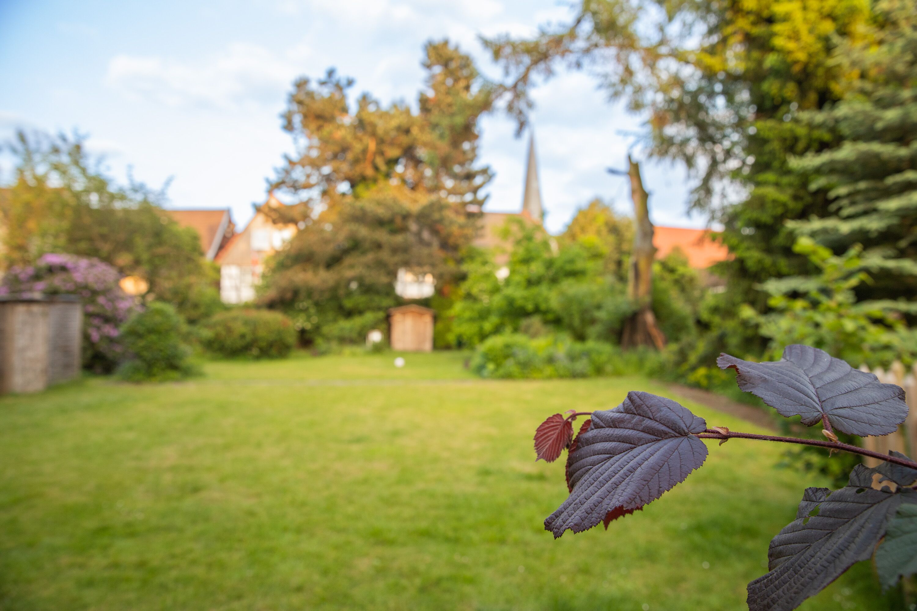 A garden with a grassy lawn and a variety of trees and shrubs.