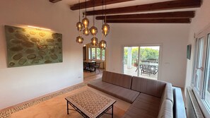 Smart TV, chimenea y libros 