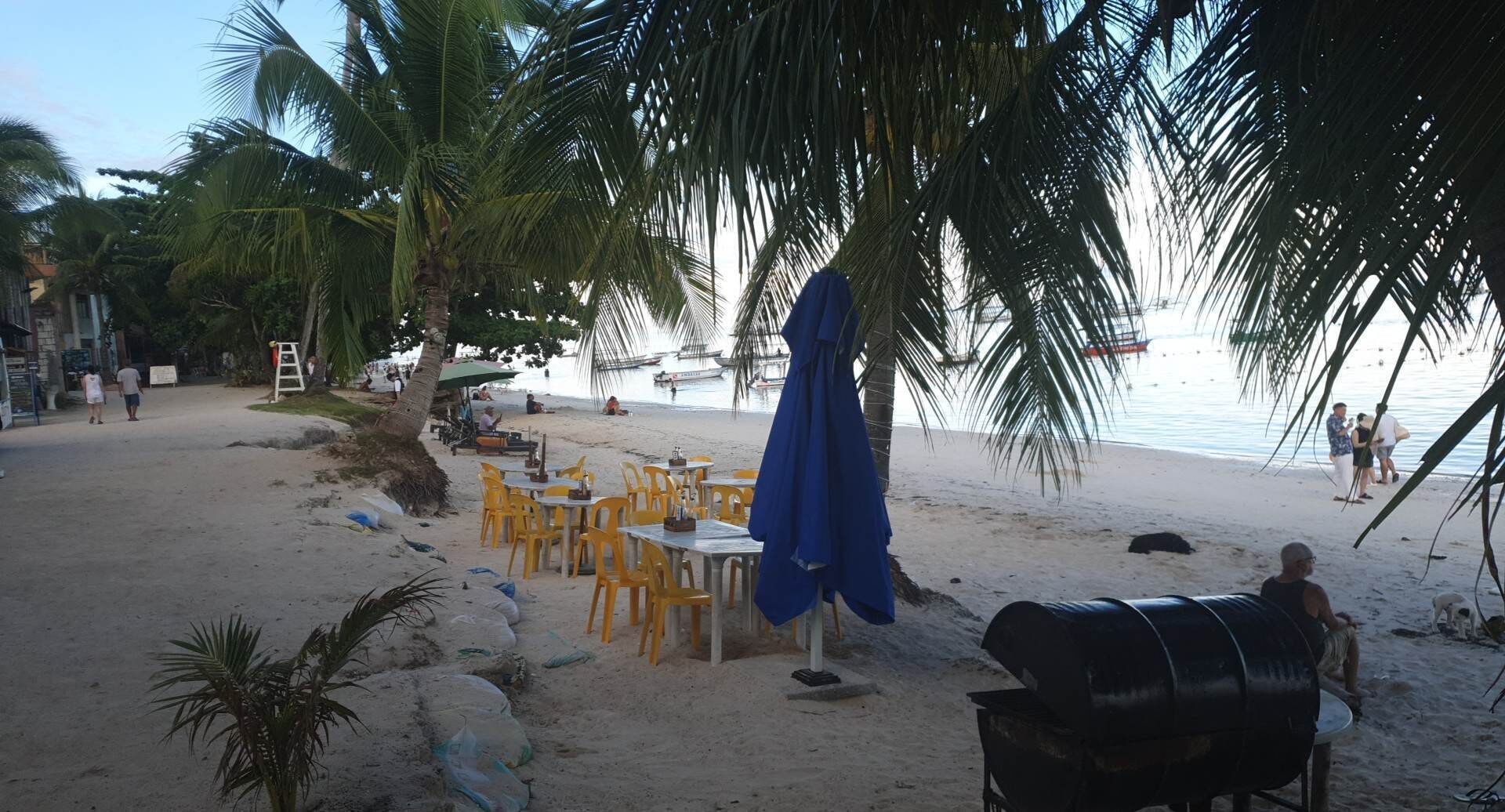 Een restaurant aan het strand met terras, palmbomen en uitzicht op het strand.