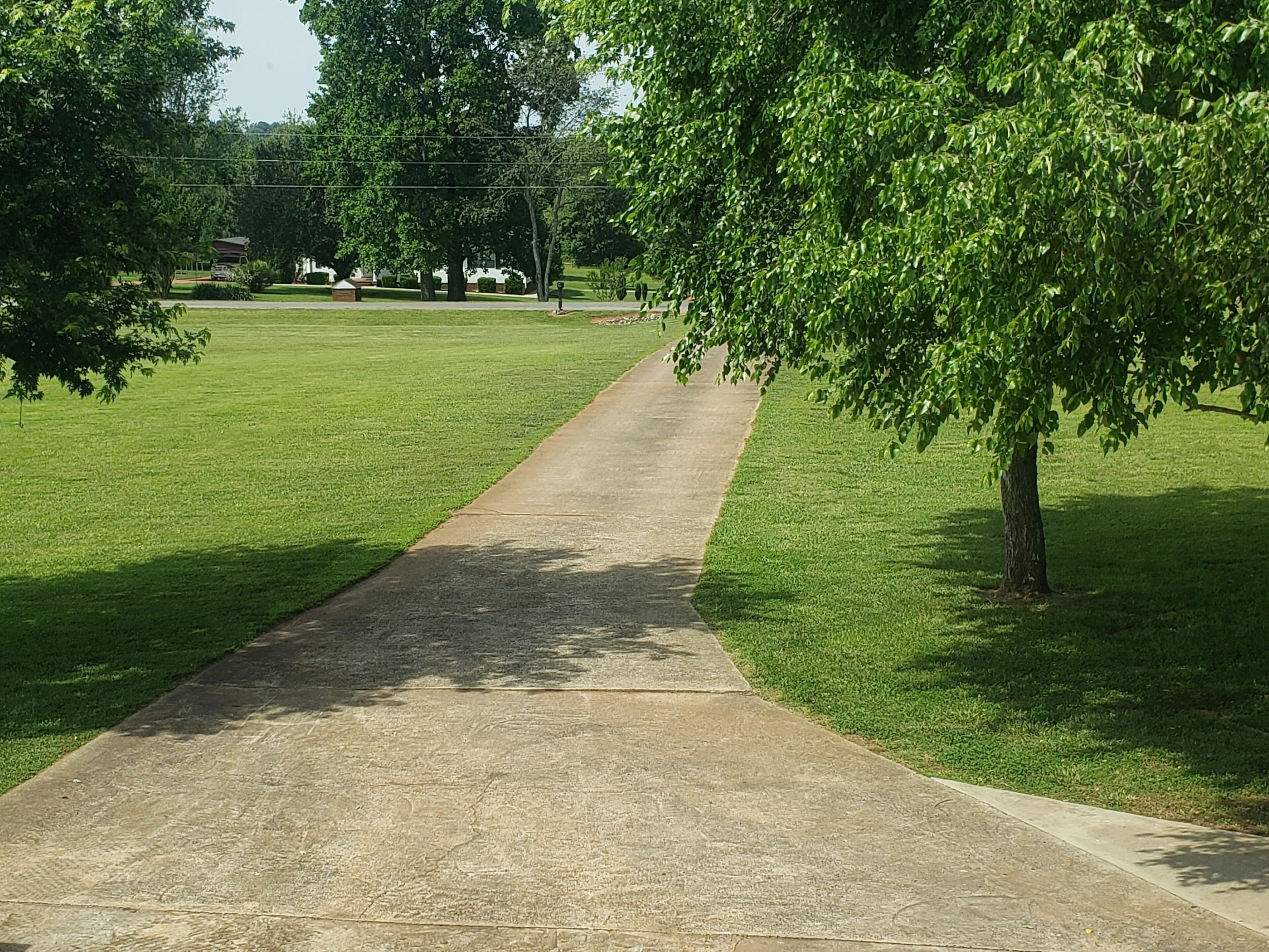 Un camino de hormigón en un parque, flanqueado por césped verde.