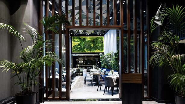 A modern interior with a bar area, seating, and potted plants. - The Maestro Hotel (Istanbul)