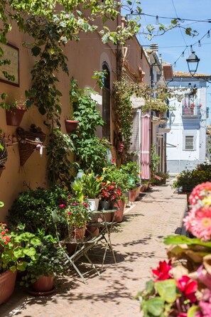 Outdoor dining - Cosy cottage in nature (Rocca San Giovanni)