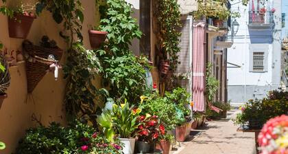 Cosy cottage in nature