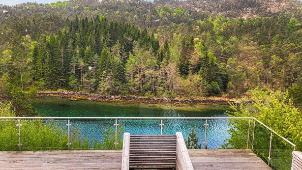 Una terraza de madera con barandilla de metal da a un lago, rodeada de un bosque denso y colinas.