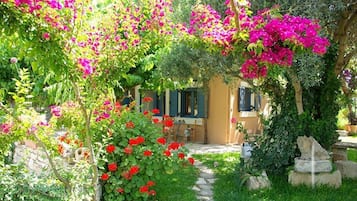 Jardines del alojamiento