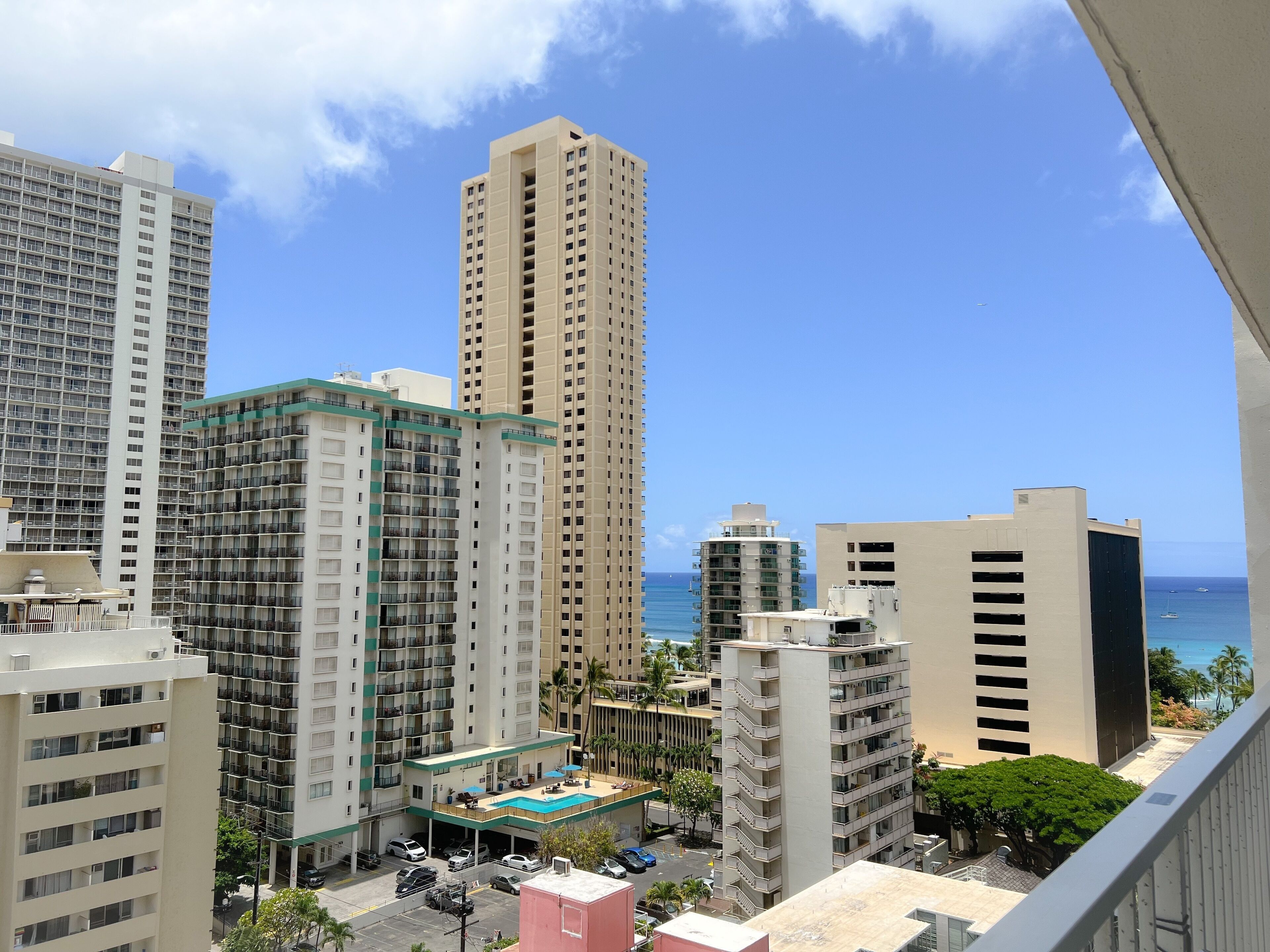 Foto - Pacific Monarch