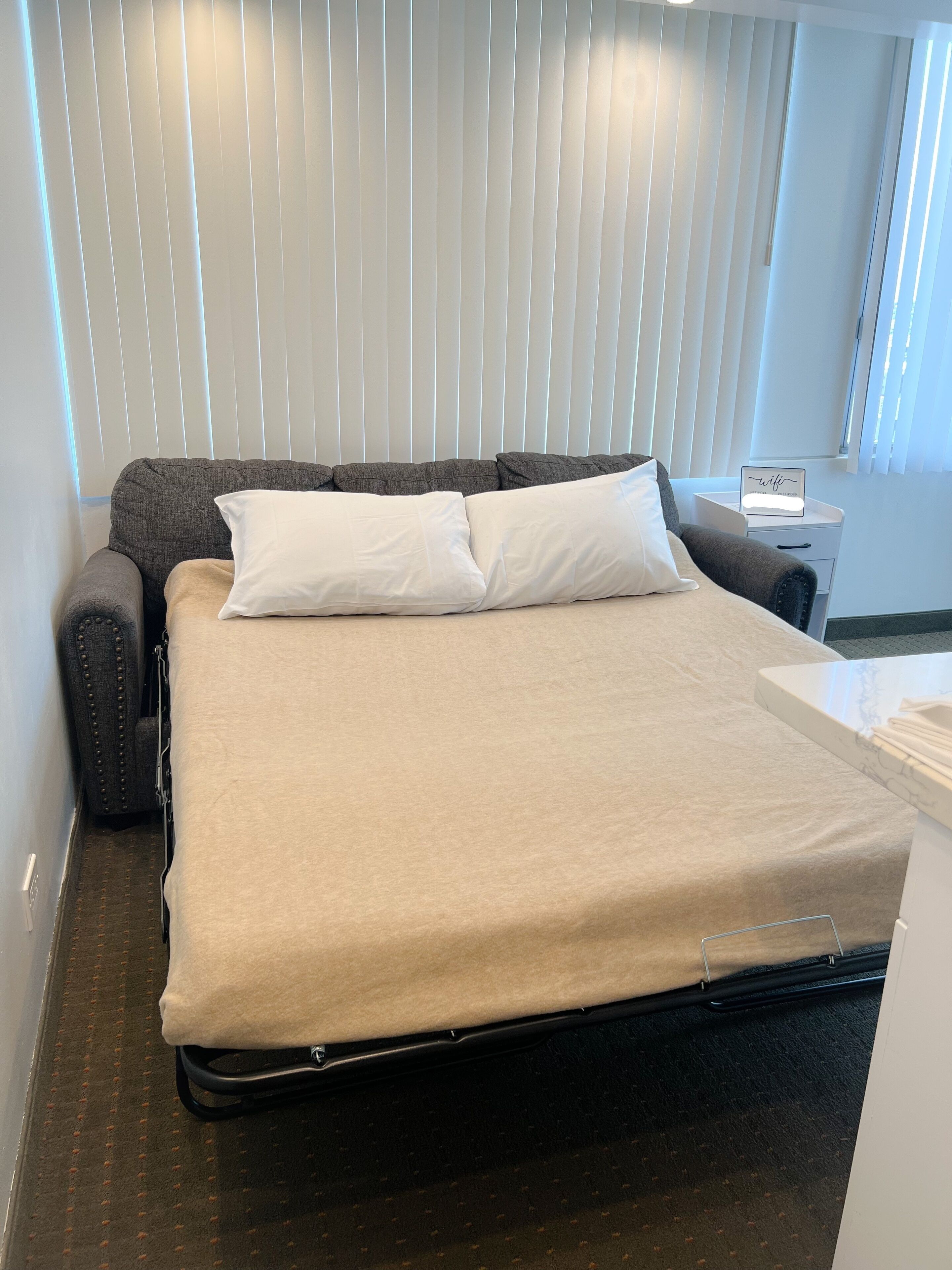 Foto - Pacific Monarch