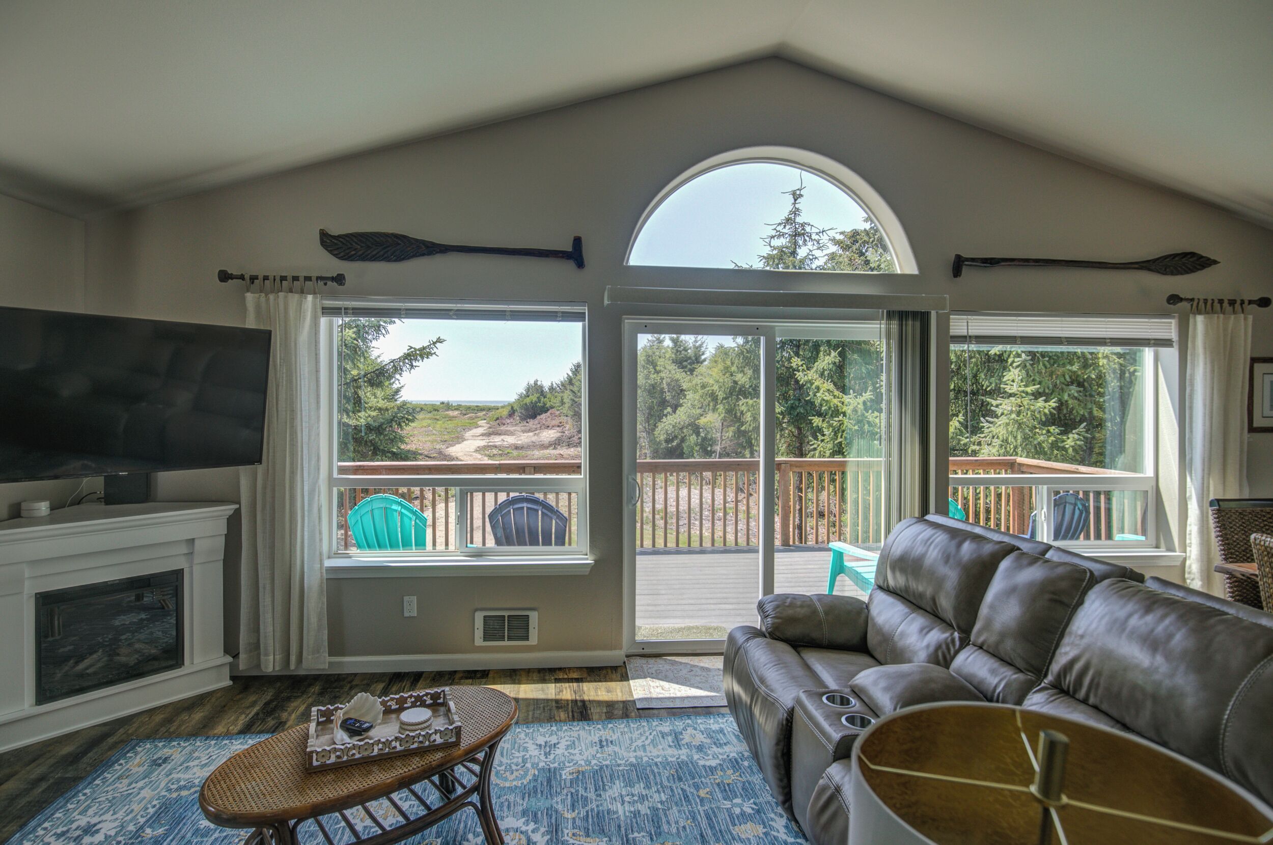 Smart TV, lareira, livros