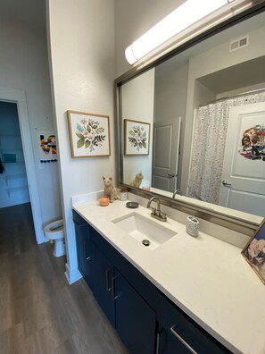 Bathroom - Pretty Plush Place  (Dallas)