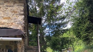 A stone staircase leading to a wooden door, surrounded by trees and a grassy area.
