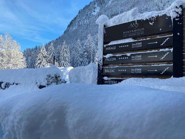 Property grounds - Amazing loft in an old building (Montriond)