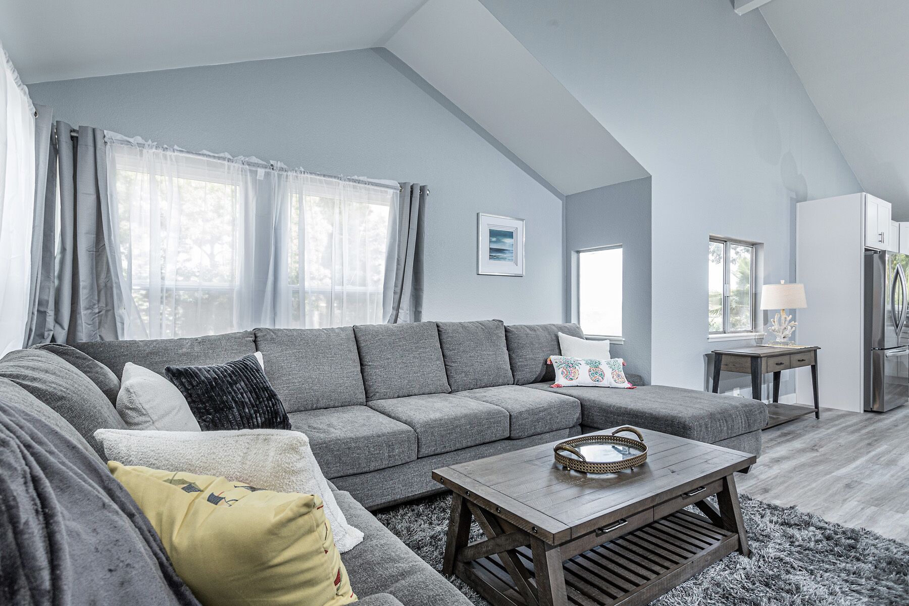 Smart-tv, pejs, bøger