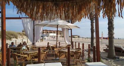 Appartement au Bord de L'océan-plage au Pied de la Résidence