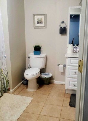 Haartrockner, Handtücher, Seife, Toilettenpapier
