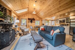 Una televisión, una chimenea, libros