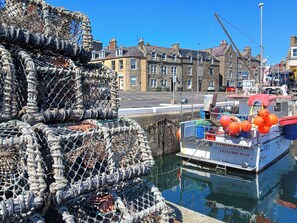 Unclassified image, 4 of 38, button