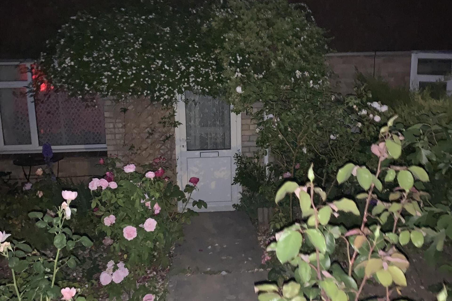 A garden with pink roses and a white door leading to a building.
