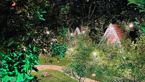 Un jardín con un pequeño pabellón blanco y un camino de piedra.