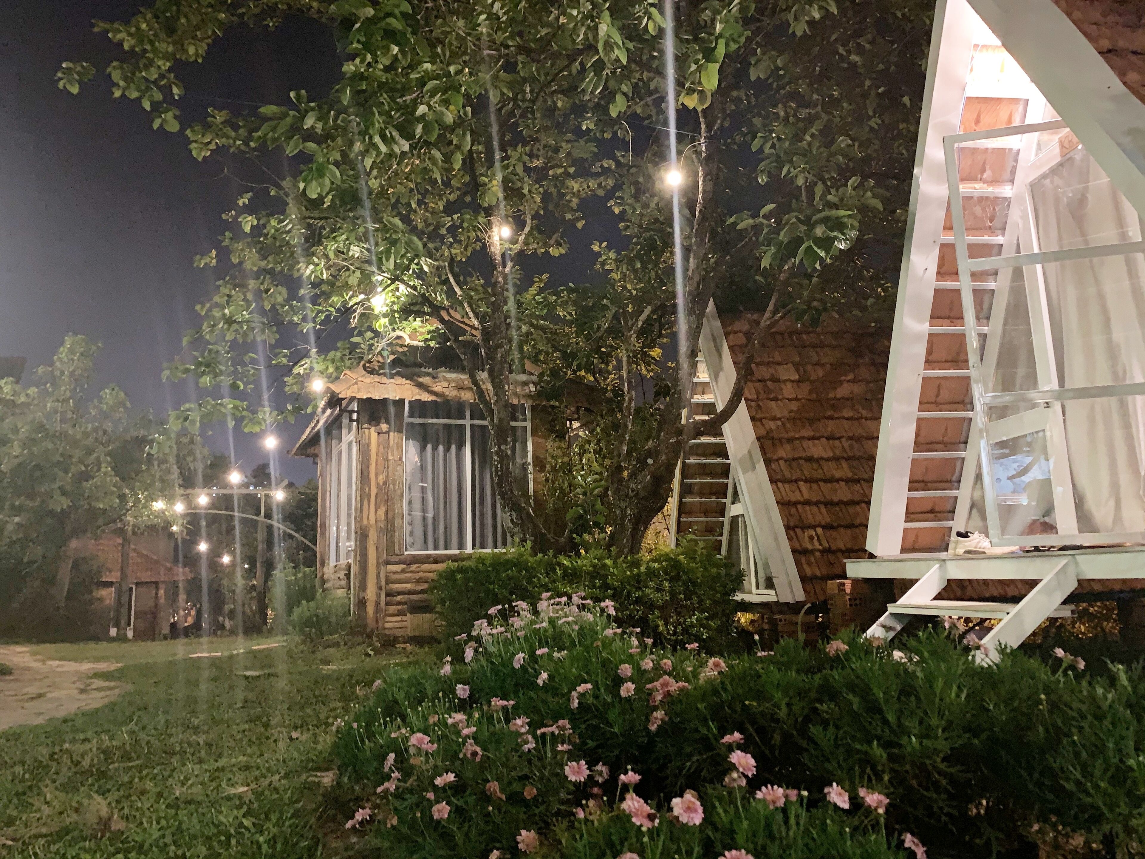 Een rustieke houten hut met een ladder naar een slaapzolder, omringd door groen en bloeiende planten.