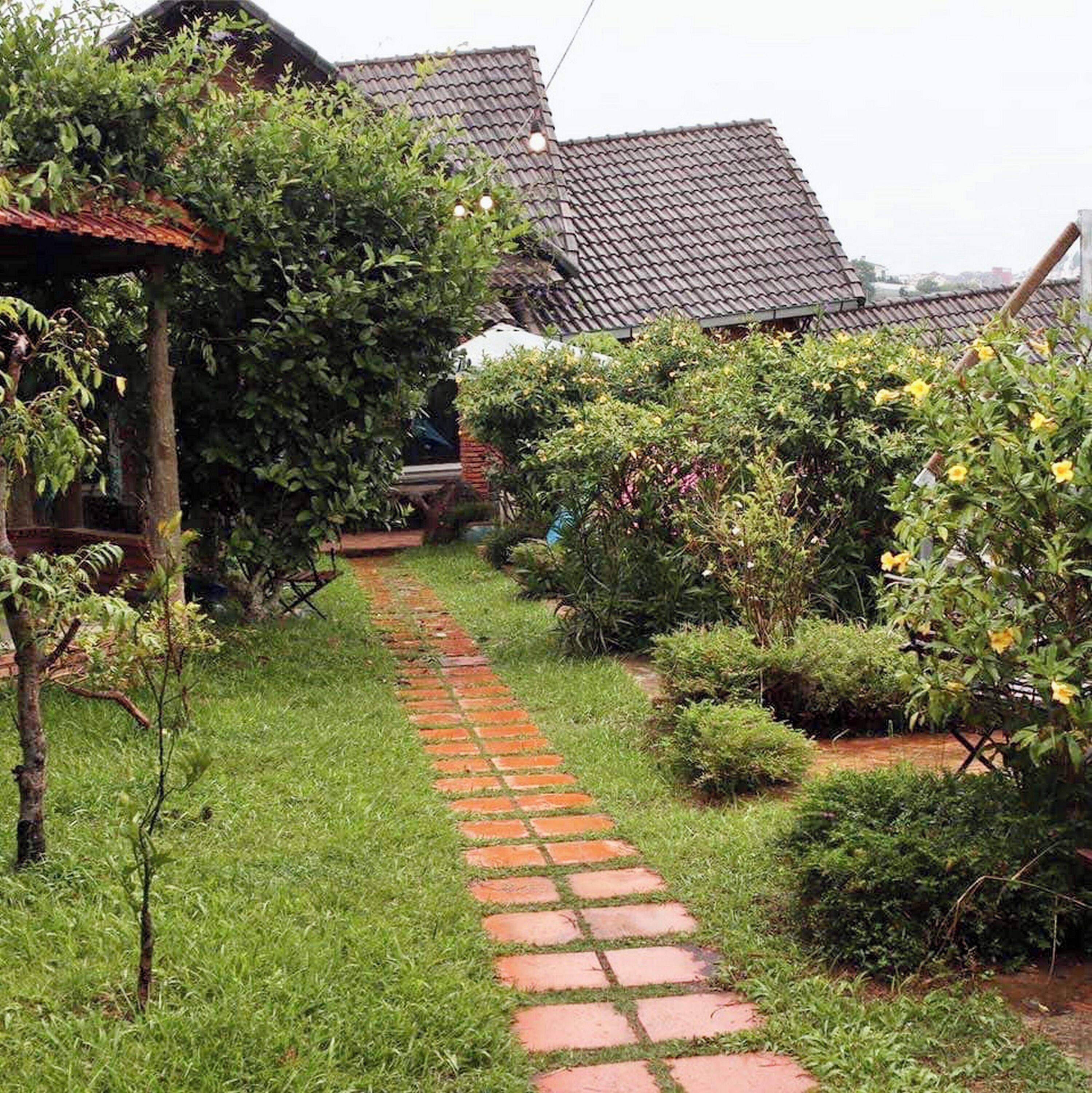 A garden pathway leading to a house with a tiled roof.