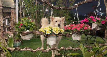 Hoa Son Village Da Lat